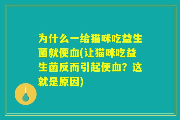 详细阅读:为什么一给猫咪吃益生菌就便血(让猫咪吃益生菌反而引起便血?这就是原因) 为什么一给猫咪吃益生菌就便血(让猫咪吃益生菌反而引起便血?这就是原因)
