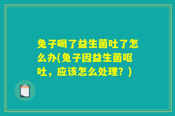 兔子喝了益生菌吐了怎么办(兔子因益生菌呕吐，应该怎么处理？)