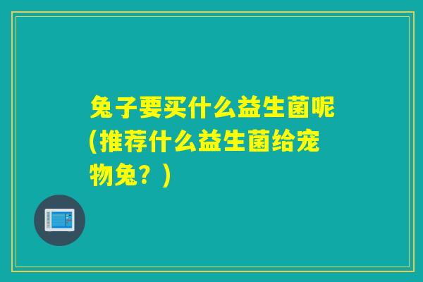 兔子要买什么益生菌呢(推荐什么益生菌给宠物兔？)