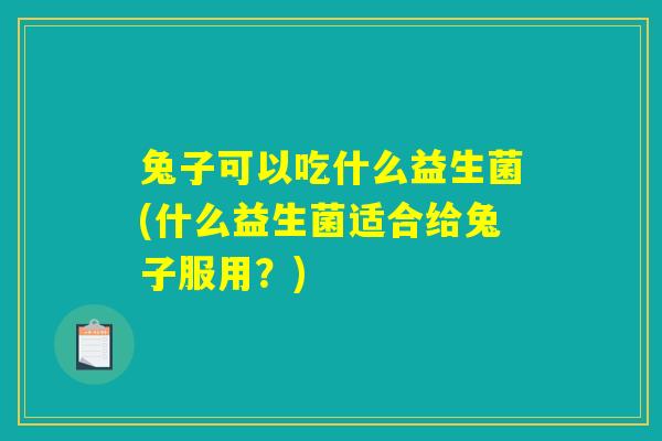 兔子可以吃什么益生菌(什么益生菌适合给兔子服用？)