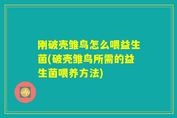刚破壳雏鸟怎么喂益生菌(破壳雏鸟所需的益生菌喂养方法)