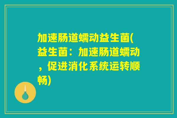 加速肠道蠕动益生菌(益生菌：加速肠道蠕动，促进消化系统运转顺畅)