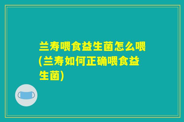 兰寿喂食益生菌怎么喂(兰寿如何正确喂食益生菌)