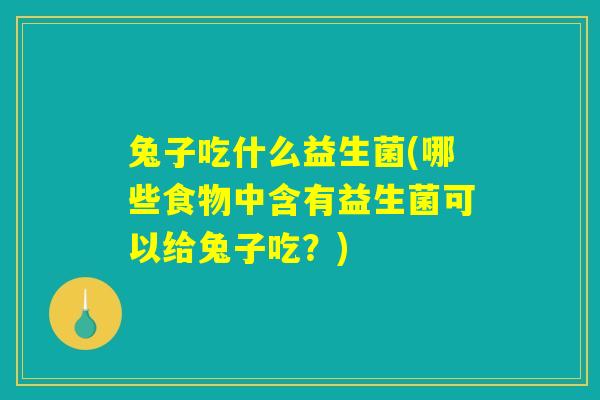 兔子吃什么益生菌(哪些食物中含有益生菌可以给兔子吃？)