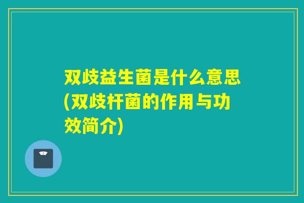 双歧益生菌是什么意思(双歧杆菌的作用与功效简介)