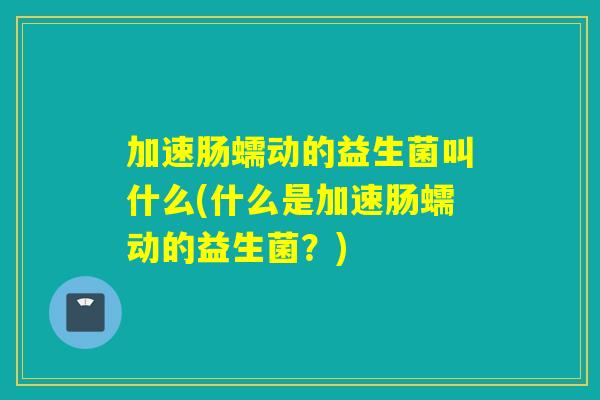 加速肠蠕动的益生菌叫什么(什么是加速肠蠕动的益生菌？)
