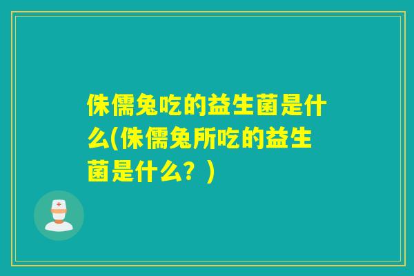侏儒兔吃的益生菌是什么(侏儒兔所吃的益生菌是什么?) 侏儒兔吃的益生菌是什么(侏儒兔所吃的益生菌是什么?)