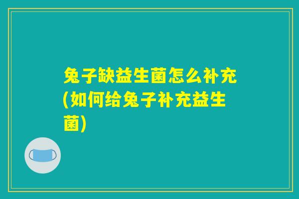 兔子缺益生菌怎么补充(如何给兔子补充益生菌)