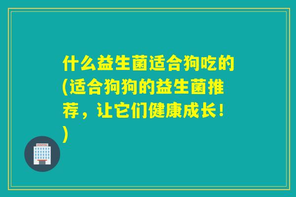 什么益生菌适合狗吃的(适合狗狗的益生菌推荐，让它们健康成长！)