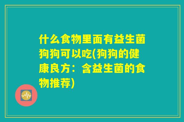 什么食物里面有益生菌狗狗可以吃(狗狗的健康良方：含益生菌的食物推荐)