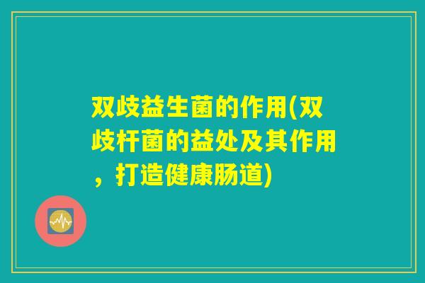 双歧益生菌的作用(双歧杆菌的益处及其作用，打造健康肠道)