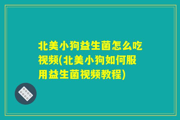 北美小狗益生菌怎么吃视频(北美小狗如何服用益生菌视频教程)