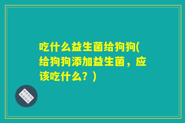 吃什么益生菌给狗狗(给狗狗添加益生菌，应该吃什么？)