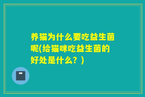 养猫为什么要吃益生菌呢(给猫咪吃益生菌的好处是什么？)