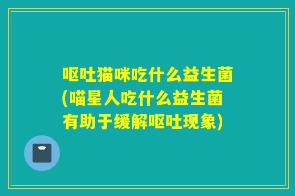 呕吐猫咪吃什么益生菌(喵星人吃什么益生菌有助于缓解呕吐现象)