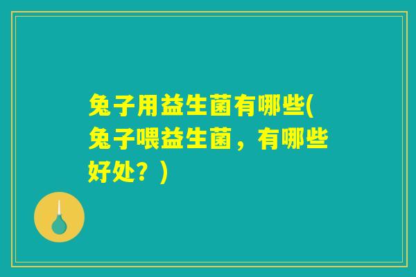 兔子用益生菌有哪些(兔子喂益生菌，有哪些好处？)