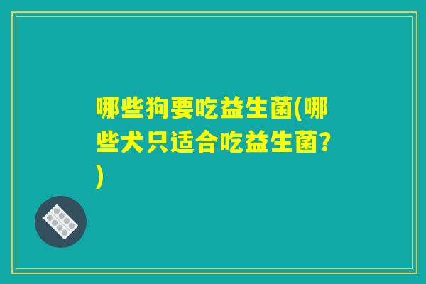 哪些狗要吃益生菌(哪些犬只适合吃益生菌？)