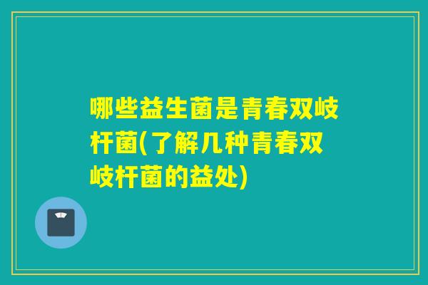 哪些益生菌是青春双岐杆菌(了解几种青春双岐杆菌的益处)