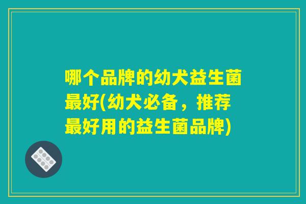哪个品牌的幼犬益生菌最好(幼犬必备，推荐最好用的益生菌品牌)