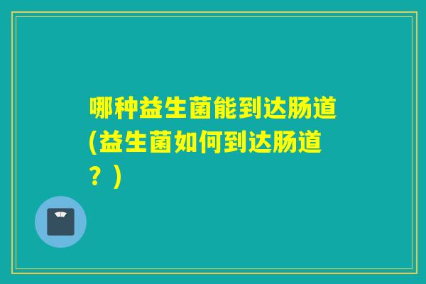 哪种益生菌能到达肠道(益生菌如何到达肠道？)