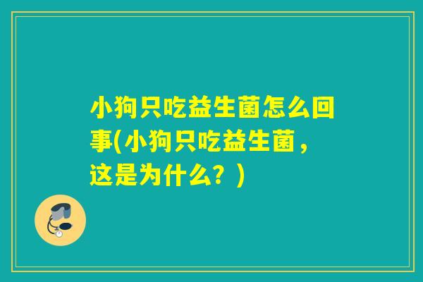 小狗只吃益生菌怎么回事(小狗只吃益生菌，这是为什么？)