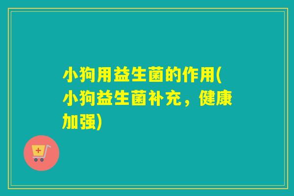 小狗用益生菌的作用(小狗益生菌补充，健康加强)