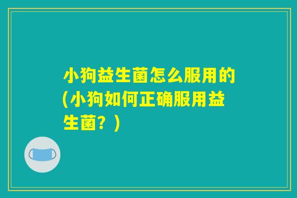 小狗益生菌怎么服用的(小狗如何正确服用益生菌？)