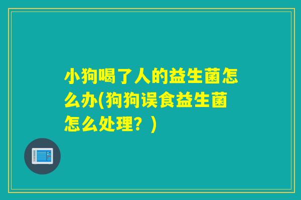小狗喝了人的益生菌怎么办(狗狗误食益生菌怎么处理？)