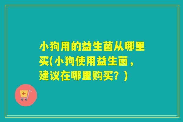 小狗用的益生菌从哪里买(小狗使用益生菌，建议在哪里购买？)