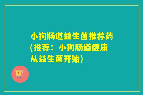 小狗肠道益生菌推荐药(推荐：小狗肠道健康从益生菌开始)