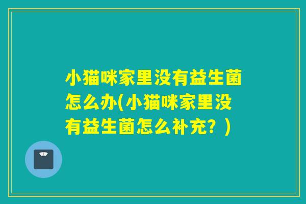 小猫咪家里没有益生菌怎么办(小猫咪家里没有益生菌怎么补充？)