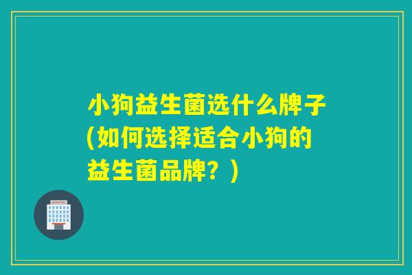 小狗益生菌选什么牌子(如何选择适合小狗的益生菌品牌？)