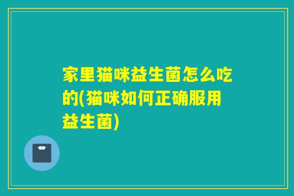 家里猫咪益生菌怎么吃的(猫咪如何正确服用益生菌)