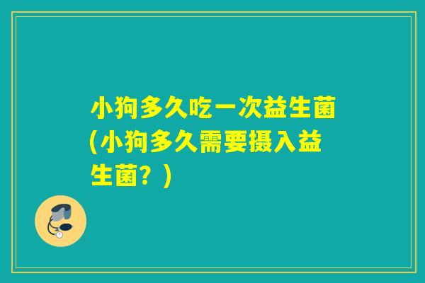小狗多久吃一次益生菌(小狗多久需要摄入益生菌?) 小狗多久吃一次益生菌(小狗多久需要摄入益生菌?)
