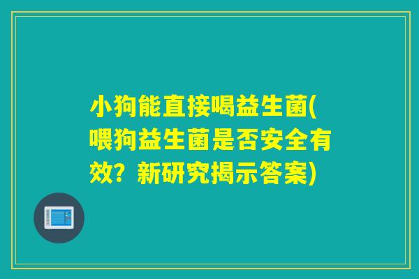 小狗能直接喝益生菌(喂狗益生菌是否安全有效？新研究揭示答案)