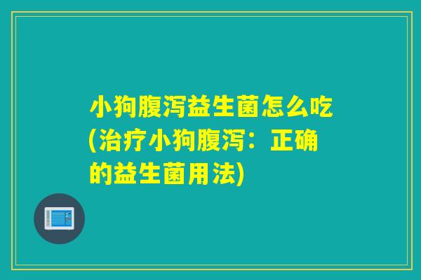小狗腹泻益生菌怎么吃(治疗小狗腹泻：正确的益生菌用法)