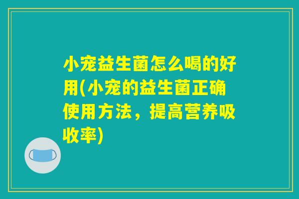 小宠益生菌怎么喝的好用(小宠的益生菌正确使用方法，提高营养吸收率)