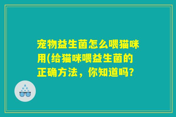 宠物益生菌怎么喂猫咪用(给猫咪喂益生菌的正确方法，你知道吗？