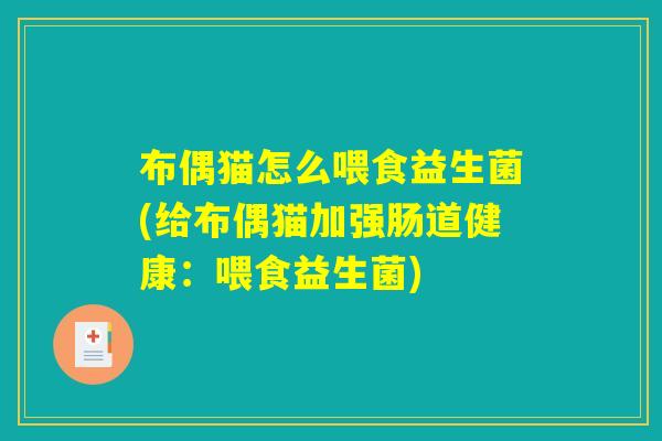 布偶猫怎么喂食益生菌(给布偶猫加强肠道健康：喂食益生菌)