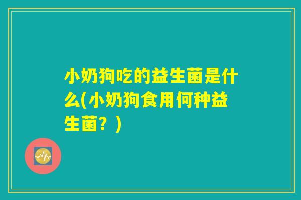 小奶狗吃的益生菌是什么(小奶狗食用何种益生菌?) 小奶狗吃的益生菌是什么(小奶狗食用何种益生菌?)