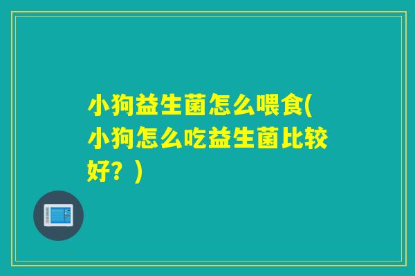 小狗益生菌怎么喂食(小狗怎么吃益生菌比较好？)