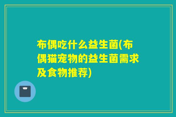 布偶吃什么益生菌(布偶猫宠物的益生菌需求及食物推荐)
