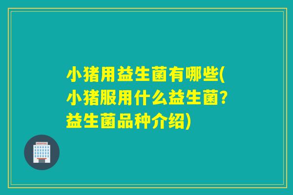 小猪用益生菌有哪些(小猪服用什么益生菌？益生菌品种介绍)
