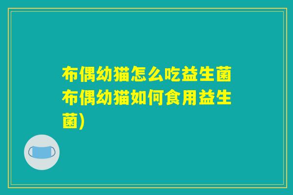布偶幼猫怎么吃益生菌布偶幼猫如何食用益生菌)