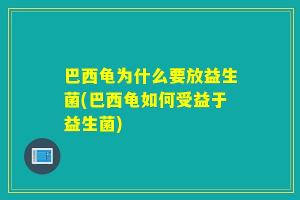巴西龟为什么要放益生菌(巴西龟如何受益于益生菌)