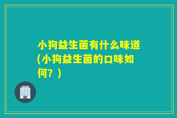 小狗益生菌有什么味道(小狗益生菌的口味如何？)
