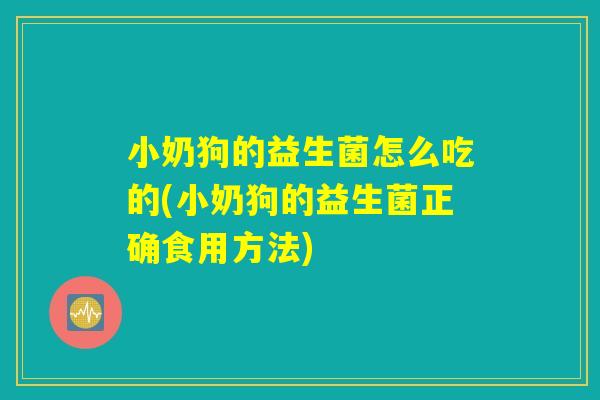 小奶狗的益生菌怎么吃的(小奶狗的益生菌正确食用方法)