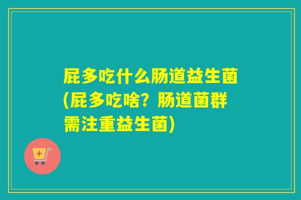 屁多吃什么肠道益生菌(屁多吃啥？肠道菌群需注重益生菌)