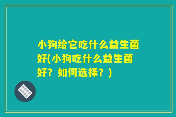 小狗给它吃什么益生菌好(小狗吃什么益生菌好？如何选择？)
