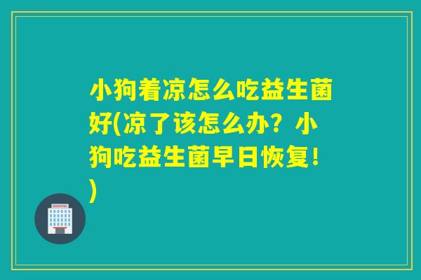 小狗着凉怎么吃益生菌好(凉了该怎么办？小狗吃益生菌早日恢复！)